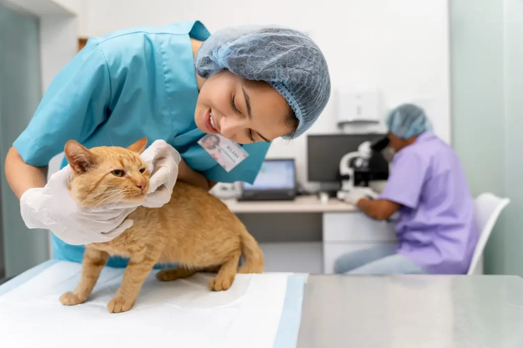 Profissional veterinária sorridente em uniforme azul cuidando de um gato laranja em uma mesa de clínica, com outro funcionário ao fundo examinando amostras no microscópio. Ambiente que se beneficia dos avançados Sistemas Pet Shop para gerenciamento eficiente.